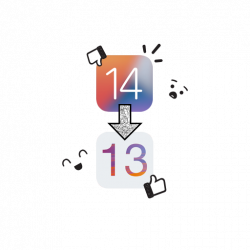 How to Downgrade to iOS 13 From iOS 14 After Installing the Beta